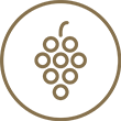 Dégustation de 6 vins et plats valaisans - Logo