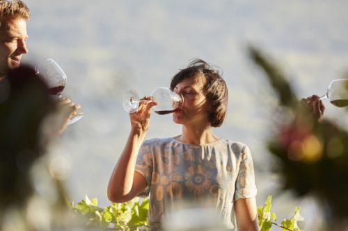Bon "Devenir un expert en vin"