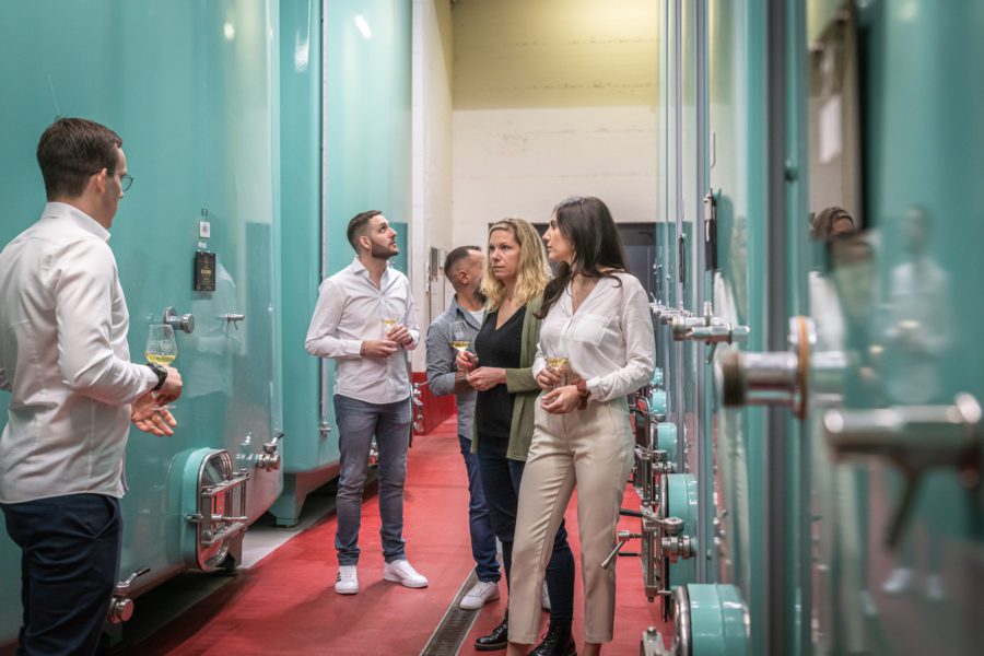 Visite de cave et dégustation