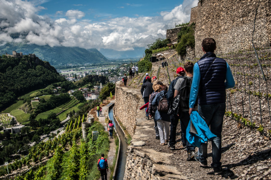 Aventure Cochetta : découvrir un vignoble hors normes