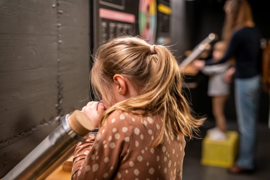 Une activité idéale pour les familles et les groupes