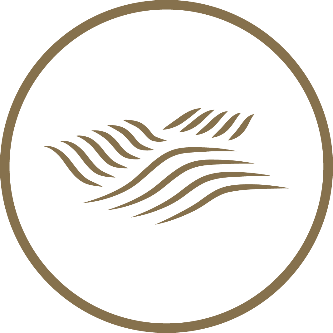 Vignoble - Logo